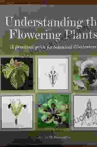 Understanding The Flowering Plants: A Practical Guide For Botanical Illustrators