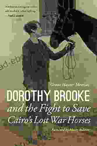 Dorothy Brooke And The Fight To Save Cairo S Lost War Horses