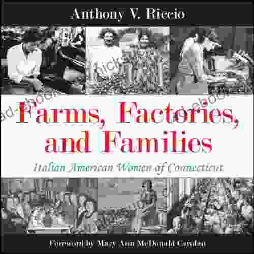 Farms Factories And Families: Italian American Women Of Connecticut (Excelsior Editions)