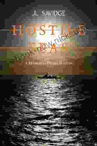 Hostile Seas: A Mission In Pirate Waters