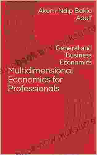 Multidimensional Economics For Professionals : General And Business Economics (Akum Multidimensional Economics 1)