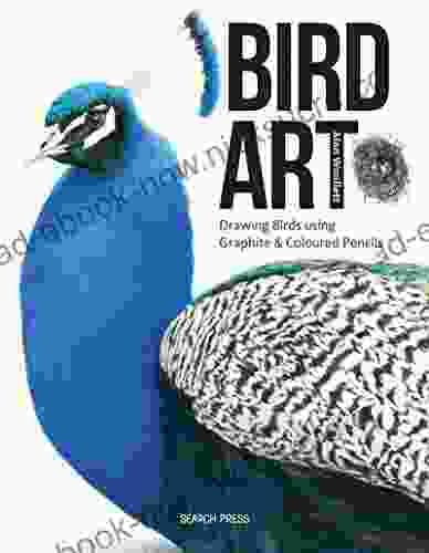 Bird Art: Drawing Birds Using Graphite Coloured Pencils