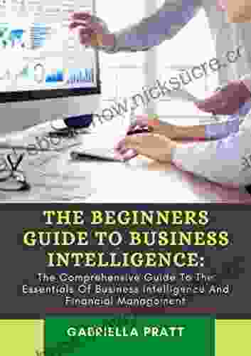 The Beginners Guide To Business Intelligence: The Comprehensive Guide To The Essentials Of Business Intelligence And Financial Management