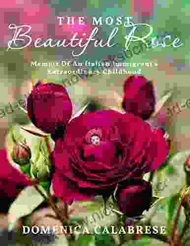 The Most Beautiful Rose: Memoir Of An Italian Immigrant S Extraordinary Childhood