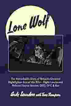 Lone Wolf: The Remarkable Story Of Britain S Greatest Nightfighter Ace Of The Blitz Flt Lt Richard Playne Stevens DSO DFC BAR