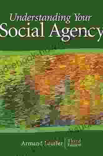 Understanding Your Social Agency (SAGE Human Services Guides 3)