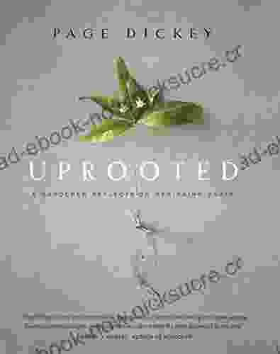 Uprooted: A Gardener Reflects On Beginning Again