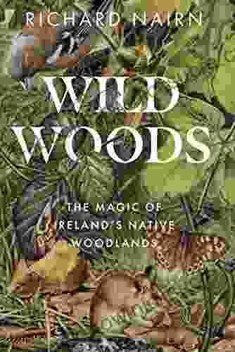 Wildwoods: The Magic Of Ireland S Native Woodlands