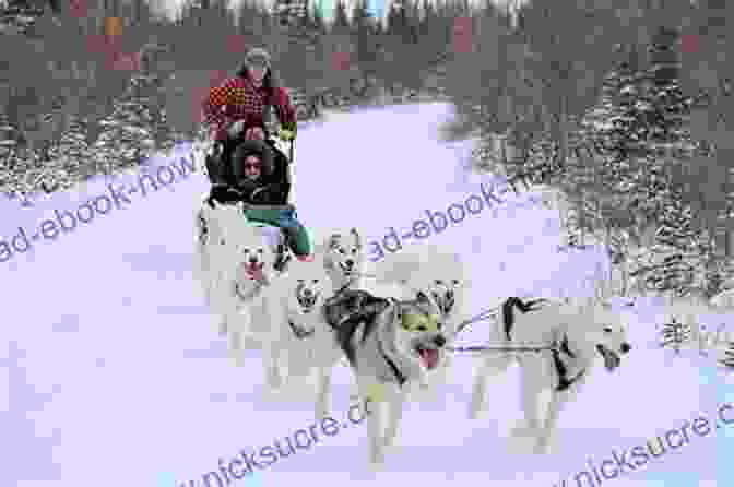 A Group Of People Dog Sledding In Canada Hudson S Bay Company Adventures: Tales Of Canada S Fur Traders (Amazing Stories)