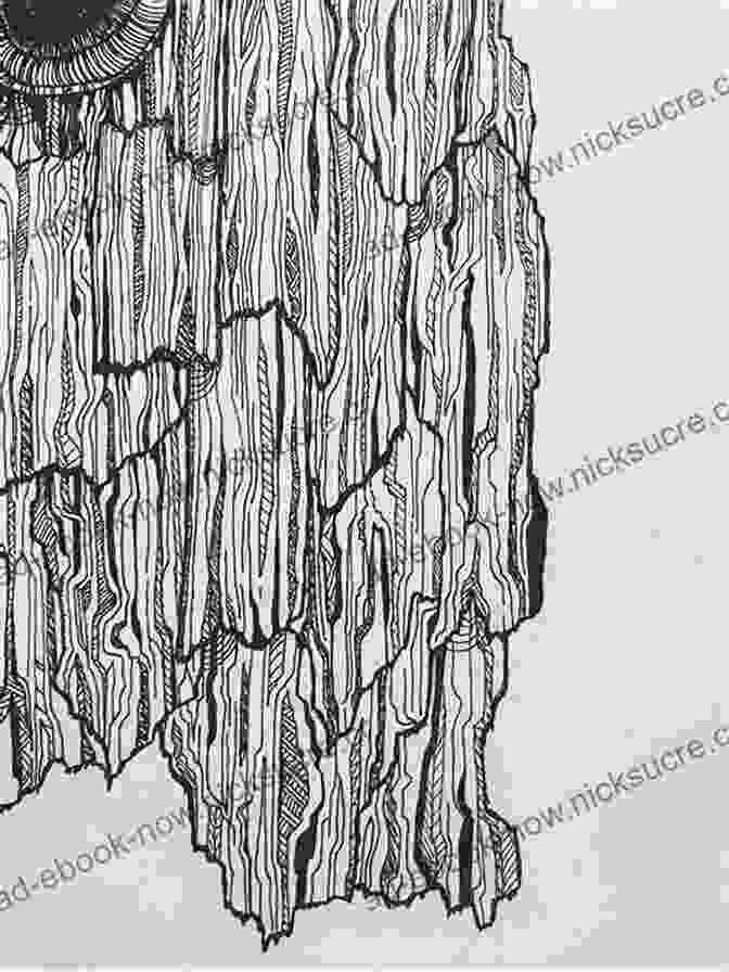 A Pencil Drawing Of A Tree By Margaret Eggleton, Capturing The Intricate Details Of Its Bark, Branches, And Leaves Drawing Trees Flowers Margaret Eggleton