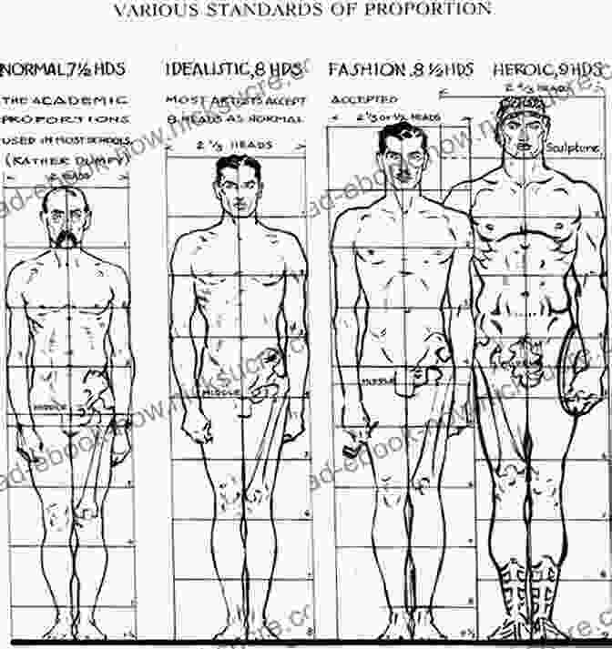 Diagram Of The Ideal Human Proportions Modeling The Figure In Clay 30th Anniversary Edition: A Sculptor S Guide To Anatomy