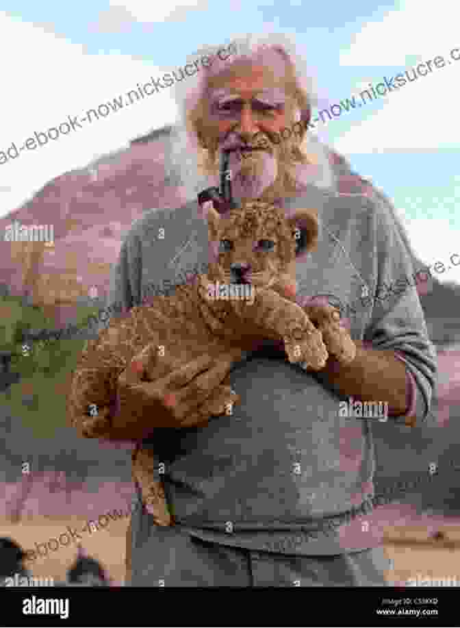 George Adamson Playing With Lion Cubs In Kora National Reserve Living With George Adamson And The Lions Of Kora: A Tale Of Africa Bees And Fear (African And Asian Interludes 1)