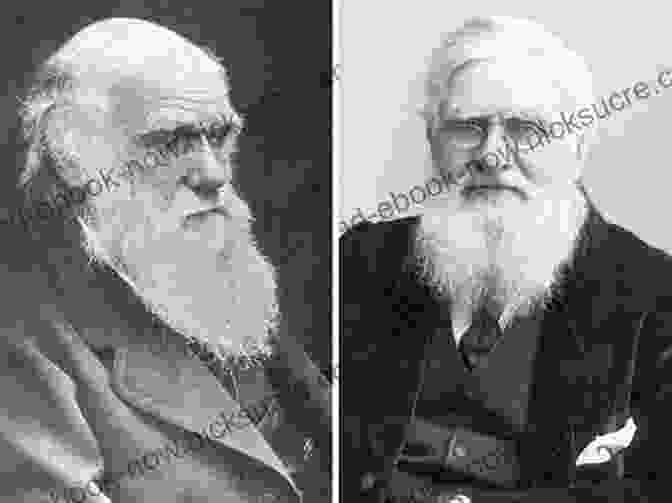 Wallace And Darwin Corresponding Alfred Russel Wallace: Letters From The Malay Archipelago