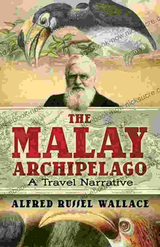 Wallace Sketching In The Malay Archipelago Alfred Russel Wallace: Letters From The Malay Archipelago